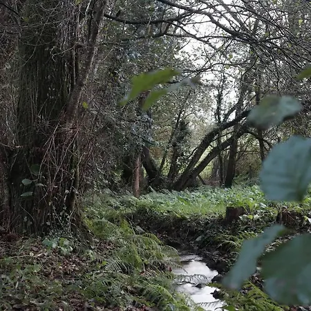 Casa De Piedra, A Lameira Semesterbostad A Coruña