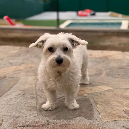 Casa De Piedra, A Lameira * A Coruña