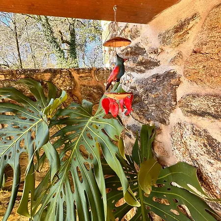 Casa De Piedra, A Lameira Hébergement de vacances